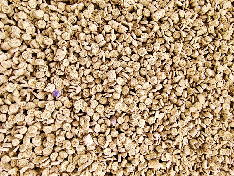 Qual è la temperatura di elaborazione della macchina di granulazione WPC?
