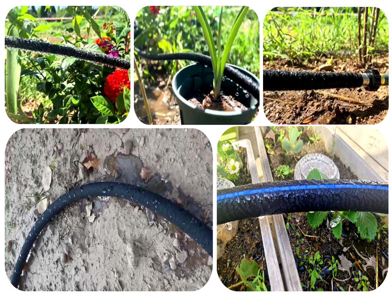 Applicazione del tubo di irrigazione a infiltrazioni nano nell'irrigazione del terreno sabbioso