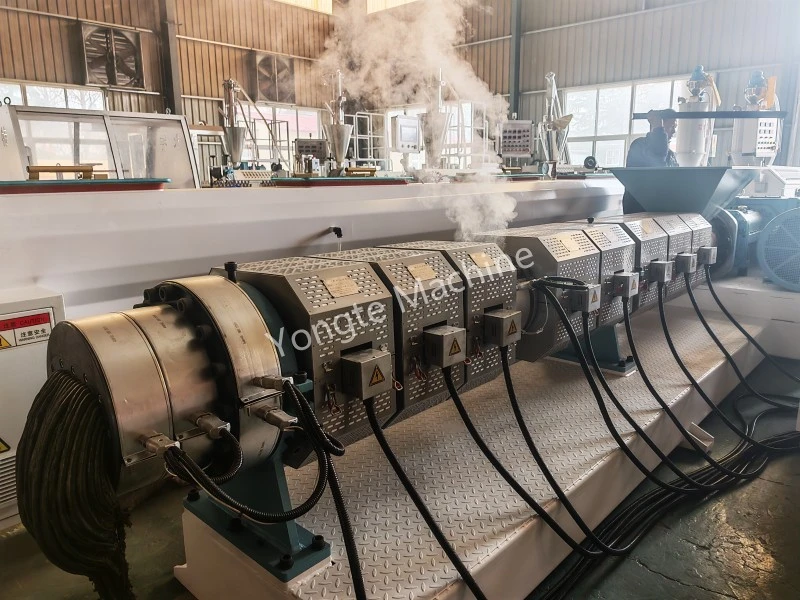 Ordine per un estrusore bivite parallelo per il riciclaggio di film di scarto in Africa