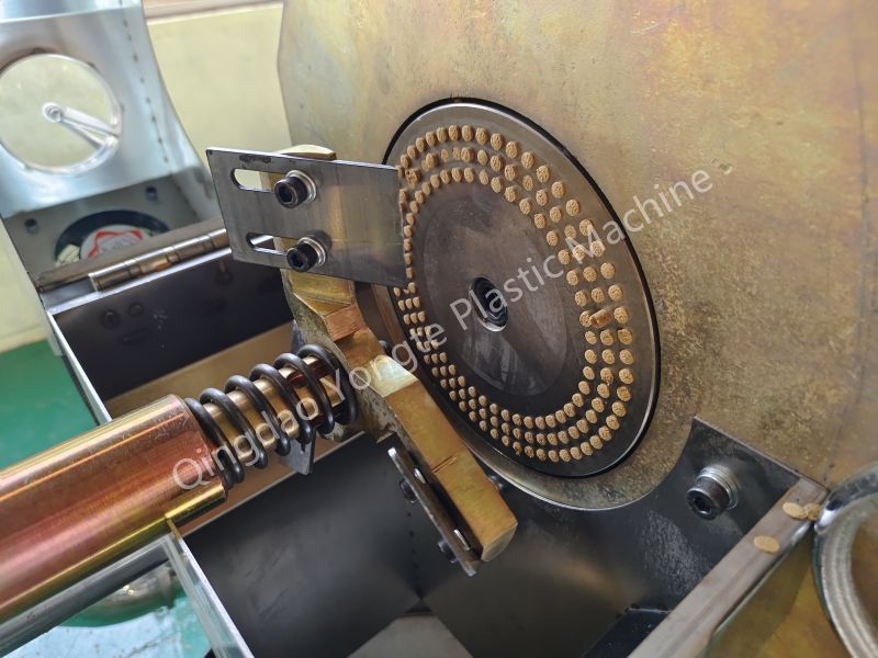 Pellettizzatrice WPC