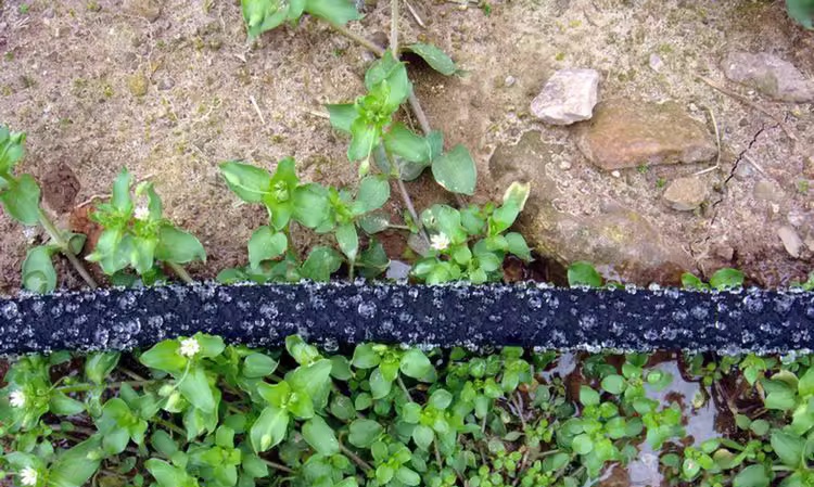 Perché il tubo di gomma può essere utilizzato come tubo di immersione?
