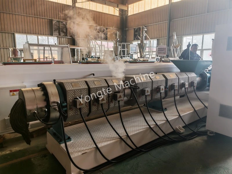 Macchina per estrusione di riciclaggio di plastica ad alta efficienza per l'accettazione dei pass dei clienti africani