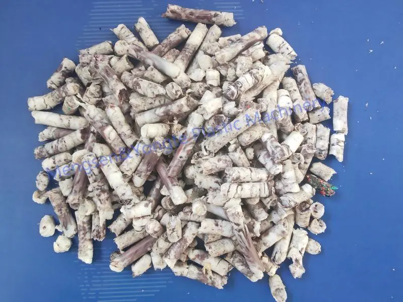 Macchina per la produzione di pellet per il riciclaggio di film plastici da 500 kg / h per clienti africani